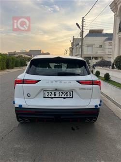 جيتور داشينج